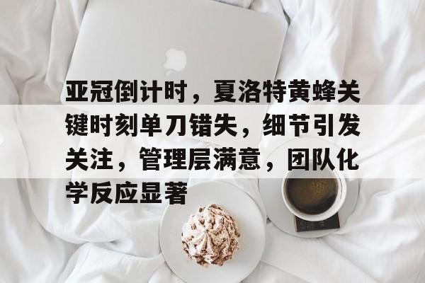 九游APP-亚冠倒计时，夏洛特黄蜂关键时刻单刀错失，细节引发关注，管理层满意，团队化学反应显著的简单介绍